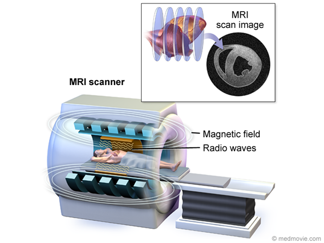 Check your internet connection