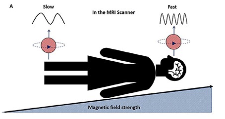 Check your internet connection