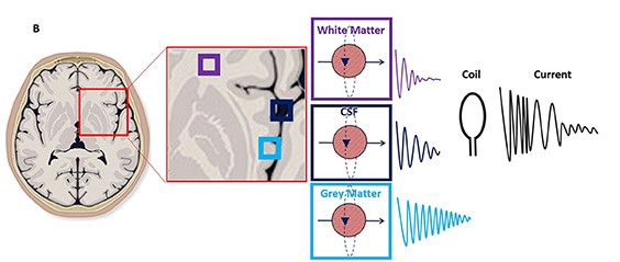 Check your internet connection