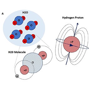 Check your internet connection